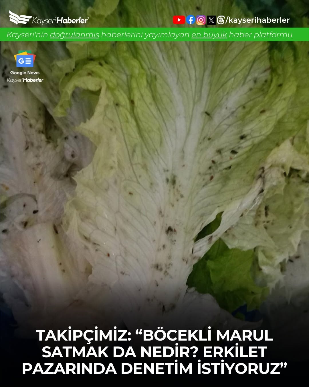 Kayseri'de Böcekli Marul Skandalı: Erkilet Pazarı'ndan Tepki Çeken Görüntüler