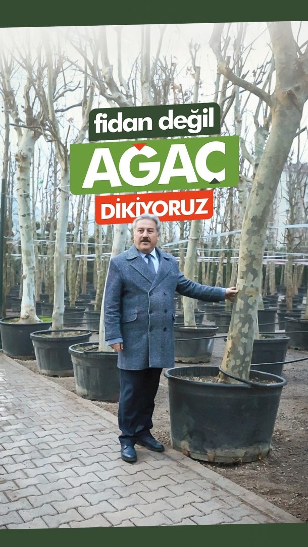 Melikgazi Belediyesi, Dev Ağaçlarla Kayseri'yi Yeşillendiriyor