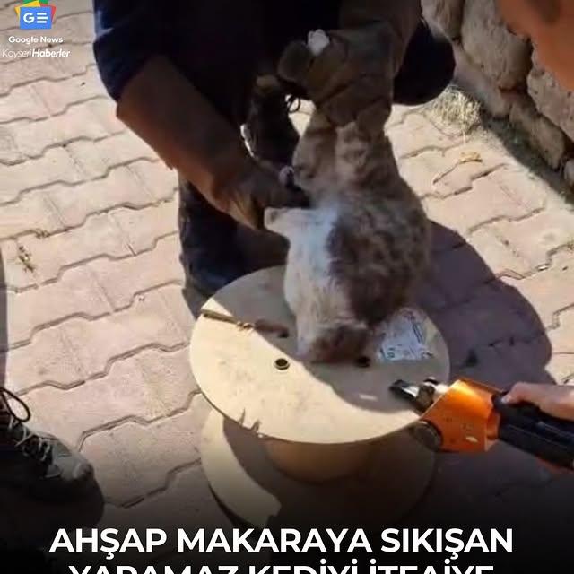 Kayseri İtfaiyesi, Dilsiz Dostlara Da İmkanlar Dahilinde Yardım Elini Uzatıyor