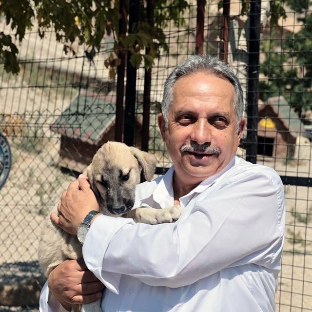 Talas'ta Sahipsiz Hayvanlara Yönelik Koruma Çalışmaları Sürdürüyor