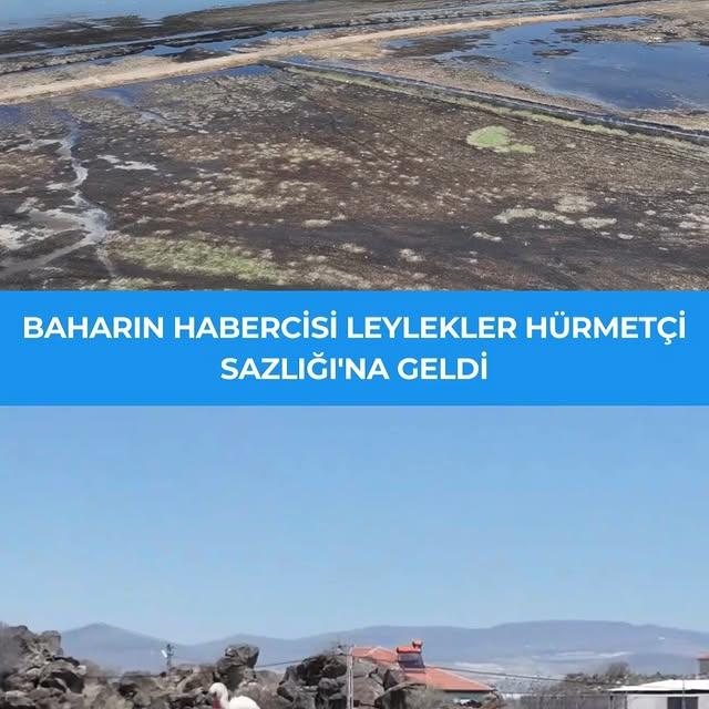 Kayseri'nin Hacılar İlçesindeki Hürmetçi Sazlığı Leyleklere Ev Sahipliği Yapıyor
