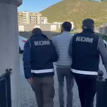 6 Organize Suç Örgütü Üyesi 158 Şüpheli Adana, İstanbul, Antalya ve İzmir'de Yakalandı