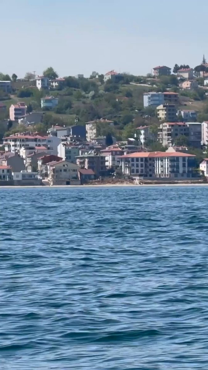 Tekirdağ'da Denizden Yunus Sürprizi: Suyun Yüzeyine Çıkan Yunuslar Büyüledi