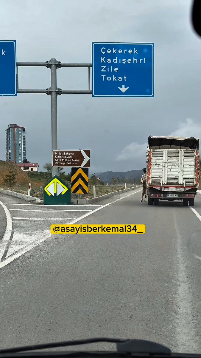 Yozgat'ta Köpeğin Hayatını Tehdit Eden Taşımacılık Olayı