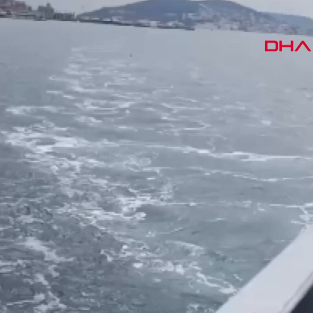 İstanbul Kartal'da Vapurdan Düşen Kadın Balıkçılar Tarafından Kurtarıldı