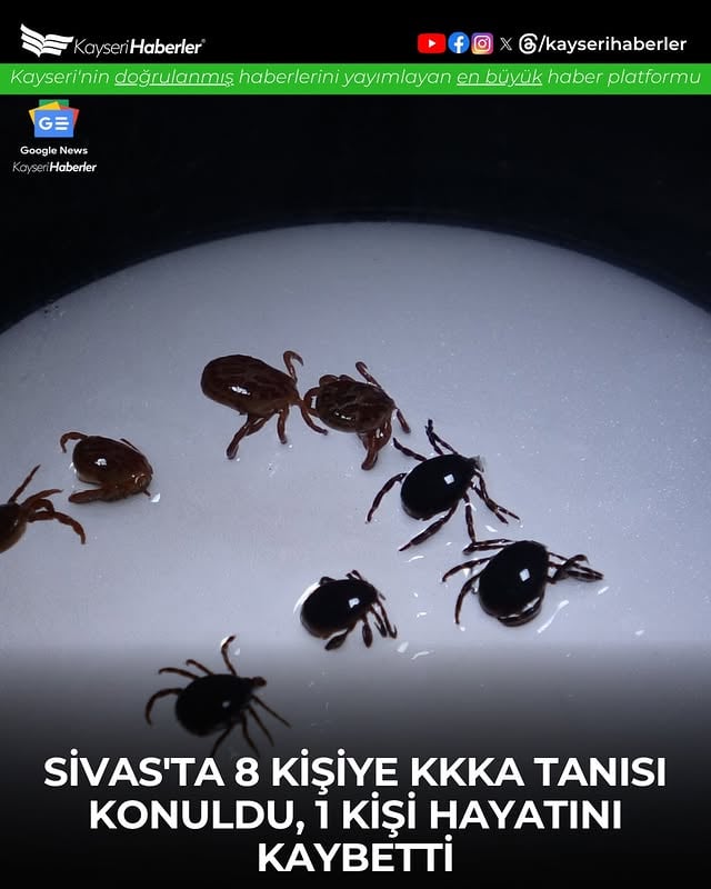 Sivas'ta Kırım Kongo Kanamalı Ateşi Alarmı: 8 Vaka, 1 Kayıp