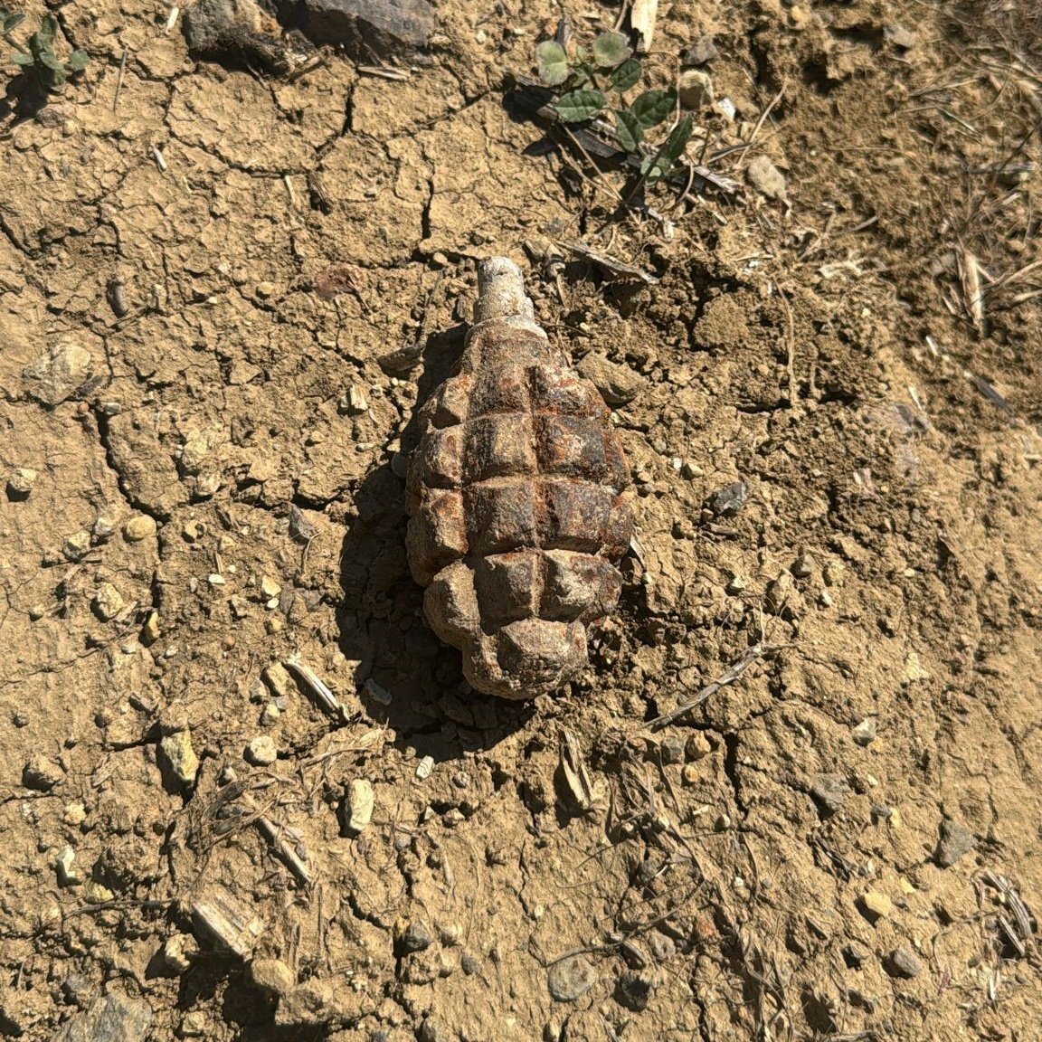 Ankara Polatlı'da Soğan Tarlasında 104 Yıllık El Bombası Bulundu