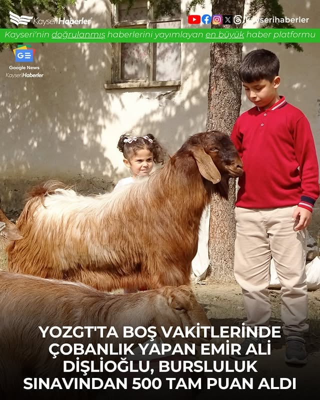 Kayseri'de Çobanlık Yapan Öğrenci Milli Eğitim Bakanlığı Bursunu Kazandı