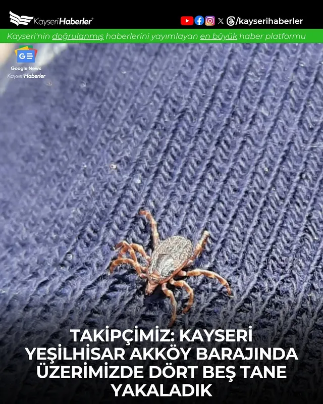 Kayseri Akköy Barajı'nda Balık Yakalandı