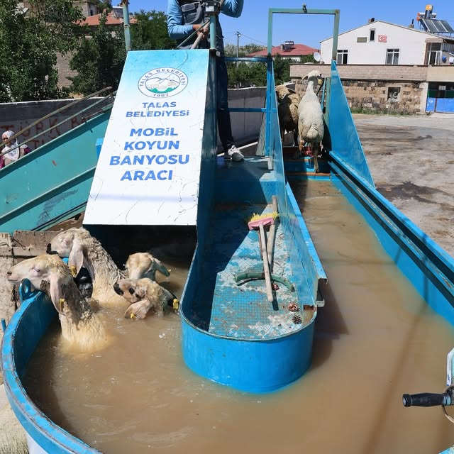 Talas Belediyesi Mobil Koyun Banyosuyla Hayvan Sağlığını Koruyor