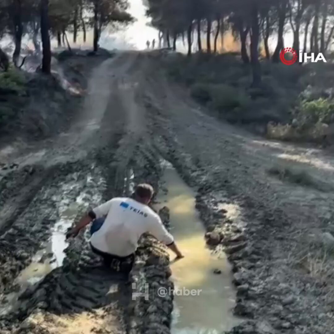 Sakarya Geyve'de Orman Yangını: Vatandaş Alevlere Karşı Müdahalede Bulundu