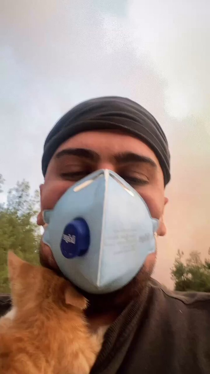 Bilecik'te Yangından Kurtarılan Kedi, Gönüllüye Sarılıp Teşekkür Etti