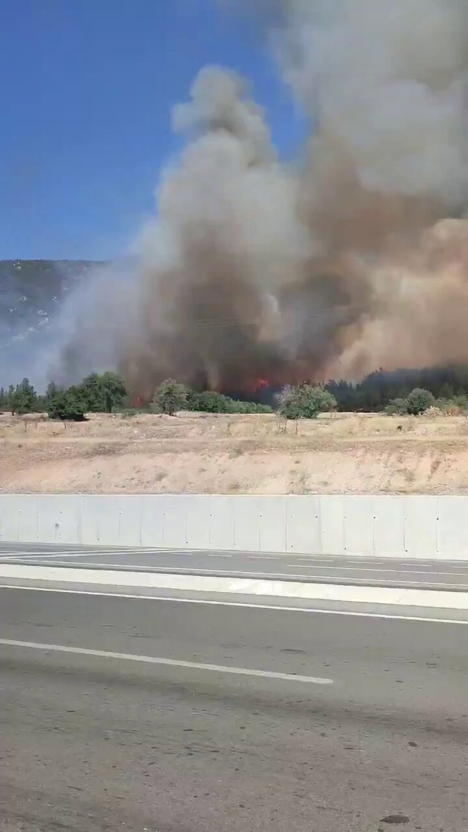 Denizli Pamukkale'de Orman Yangını: Turistik Bölgede Tehlike