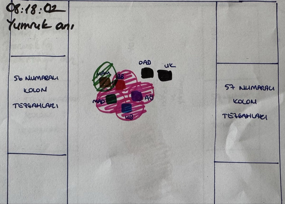 Mattia Ahmet Minguzzi Davasında Avukat Barkın'dan Açıklama: Beraat ve Tahliye Kararlarına İtiraz