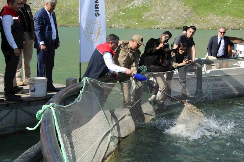 Şırnak’ta kafeslerden 30 ton balık hasat edildi