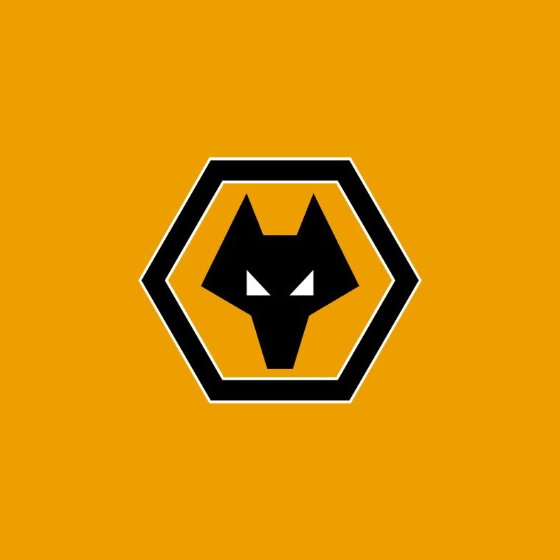 Wolverhampton Tüm Oyuncularını Transfer Listesine Çıkardı: Türk Takımları İçin Fırsat Olabilir