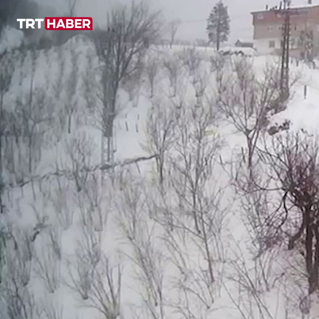 Yem Tırı Uçuruma Yuvarlandı, Sürücü Son Anda Kurtuldu