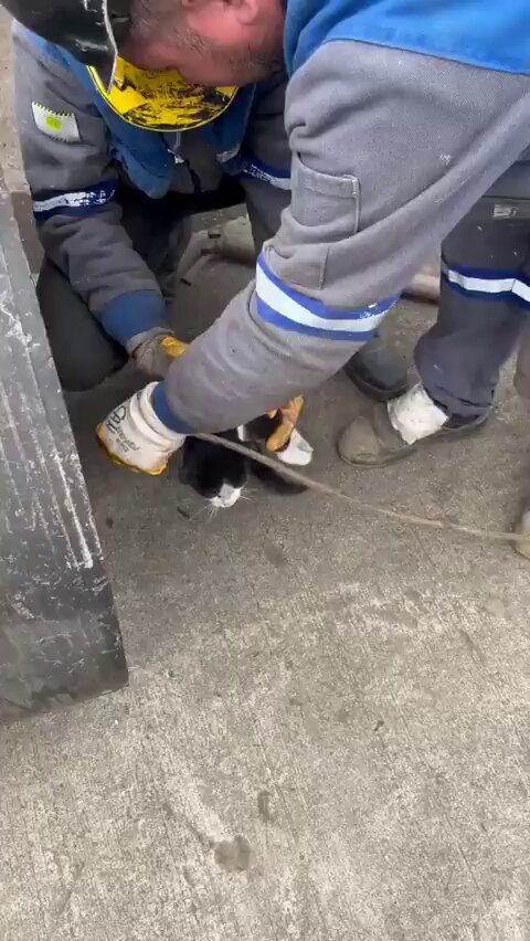 İnşaat İşçilerinin Akıllıca Çözümü: Borudan İp Geçirmek İçin Kedi Kullandılar