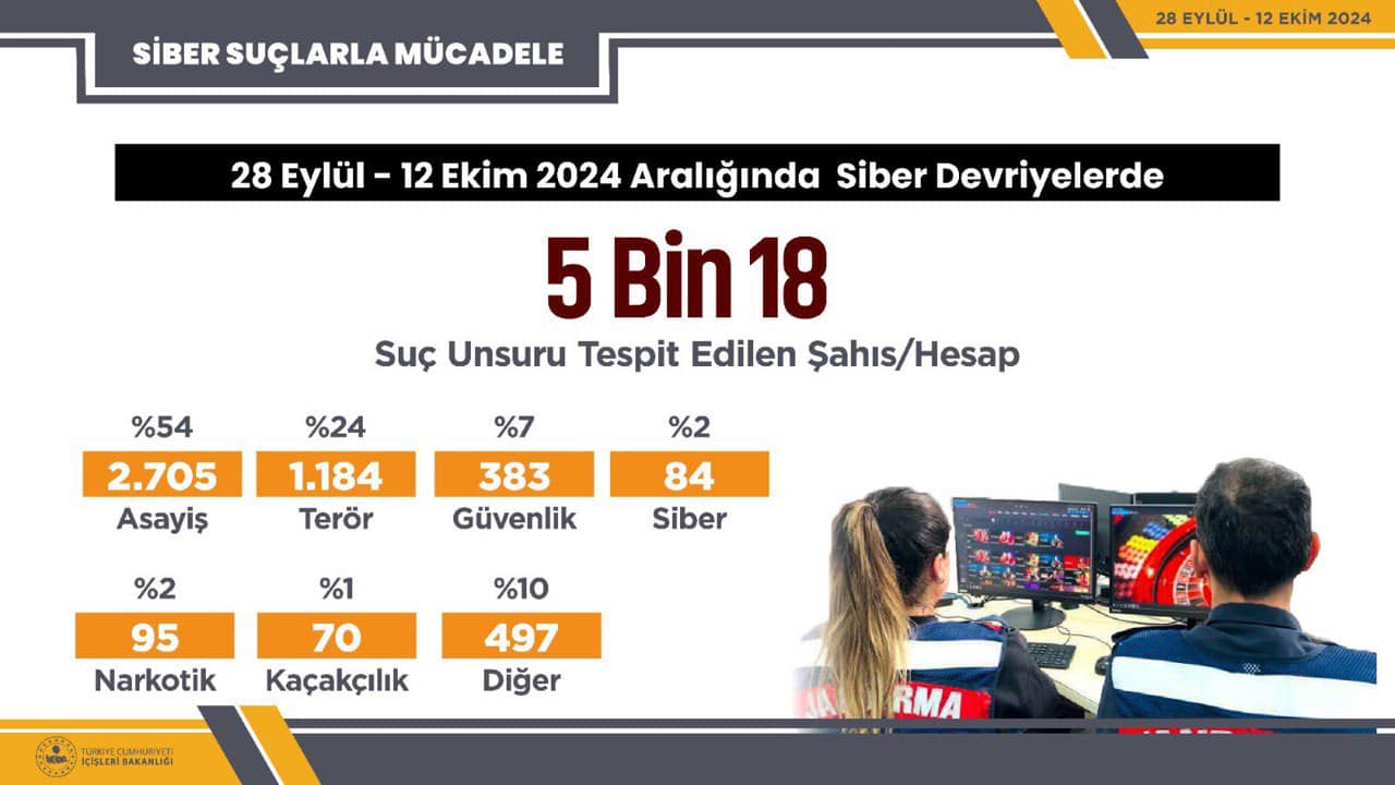 Siber Devriyeler, Sanal Dünyada Suçluların Peşinde