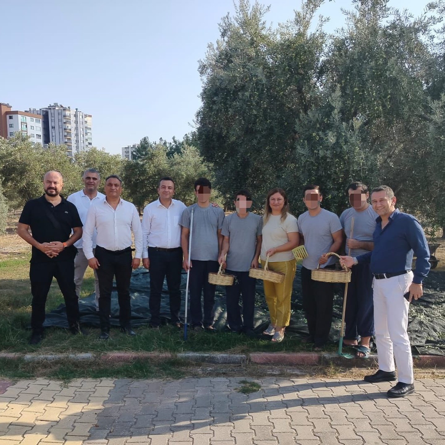 Adana Dr. Ekrem Tok Ruh Sağlığı Hastanesi, Bahçesinde Zeytin Hasadına Başladı