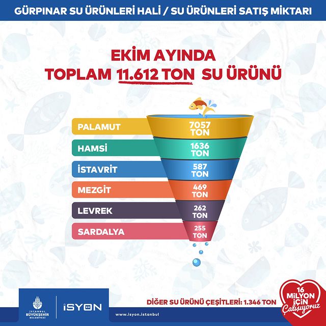 İstanbul Büyükşehir Belediyesi, Gürpınar Su Ürünleri Hal Kompleksi'nde Önemli Bir Balık Satışı Gerçekleştirdi