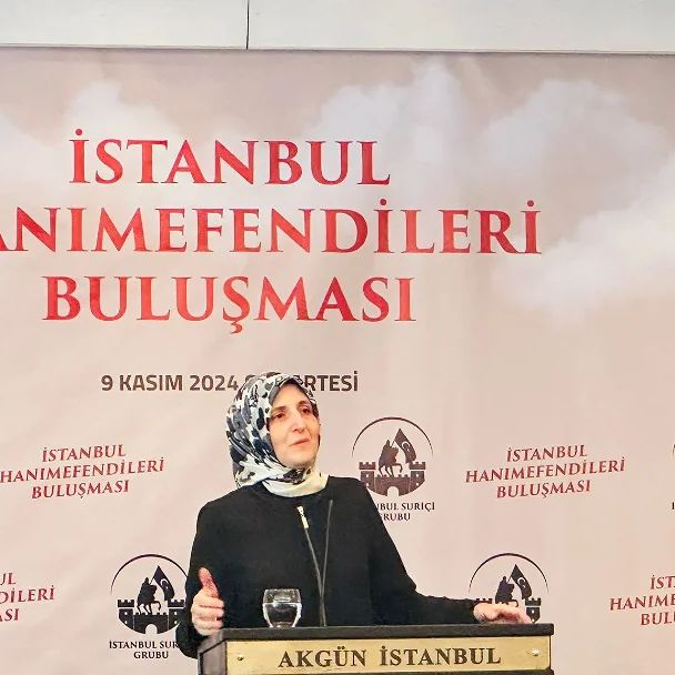 İstanbul Hanımefendileri Buluşması