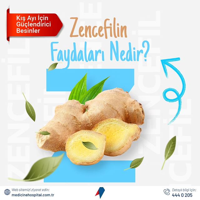 Zencefilin Sağlığa Faydaları