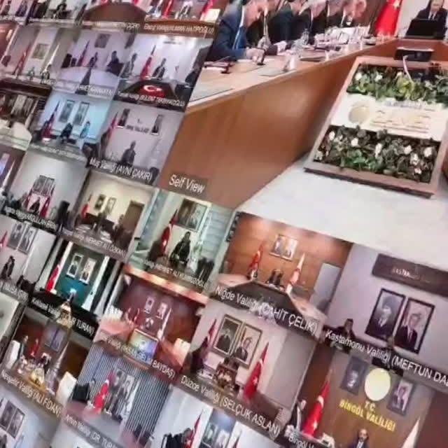 Sokak Hayvanları İçin Ulusal Bakım Planı Uygulamasına Başlandı