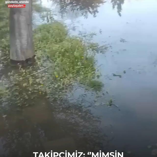 Kayseri'de Derinöz Vadisi Sürekli Su Baskınlarıyla Mücadele Ediyor