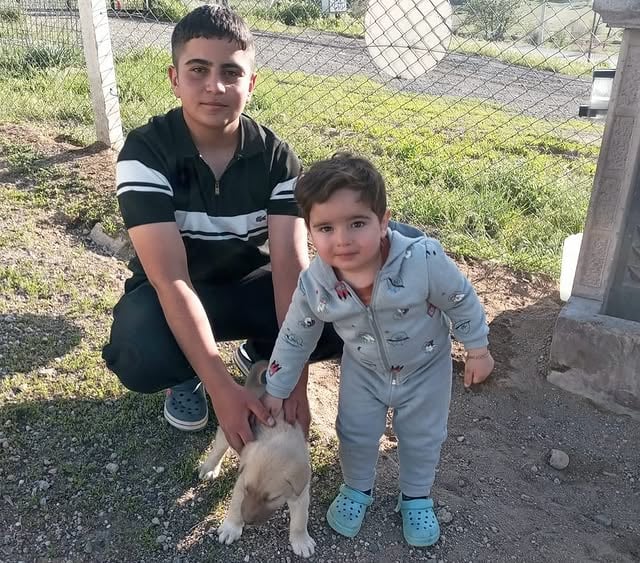 Talas Belediyesi'nden Pati Evi'nde Mutlu Sahiplenmeler