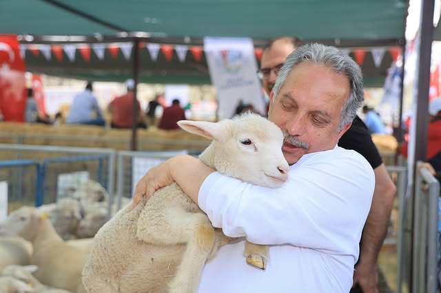 Talas'ta Koyun Güzellik Yarışmasıyla Hayvancılığa Destek