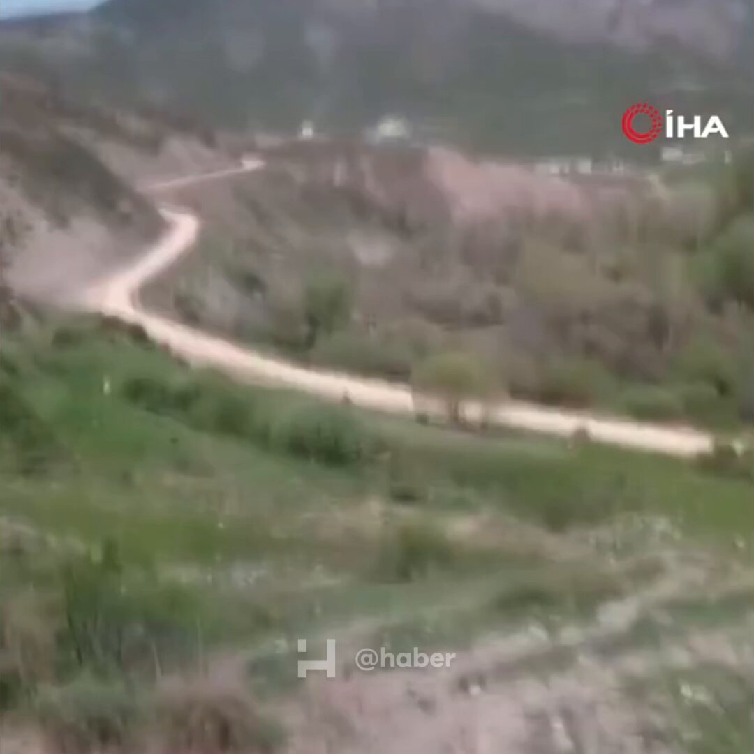 Tunceli'de Ayı Saldırısından Köpekler Kurtardı