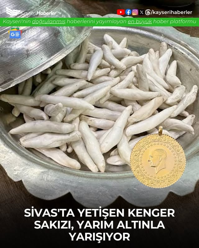 Sivas Kenger Sakızı Fiyatıyla Dikkat Çekiyor: Kilogram Fiyatı Yarıma Yaklaştı
