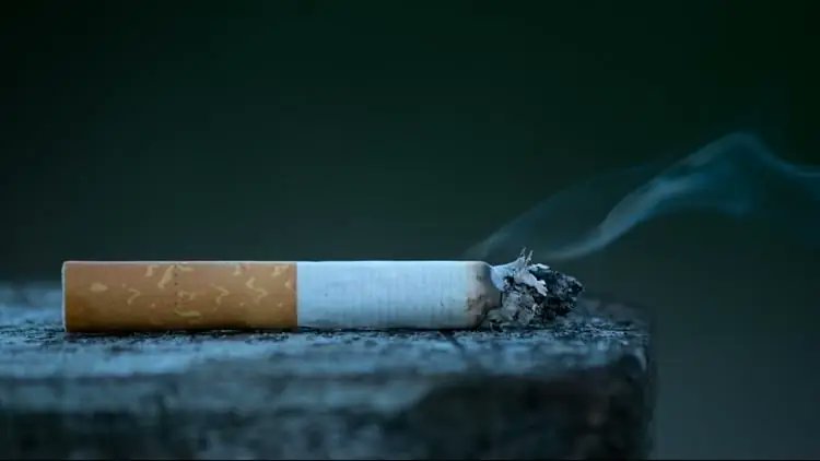 Türkiye'de Sigara Tüketimi Cumhuriyet Tarihinde Rekor Kırdı