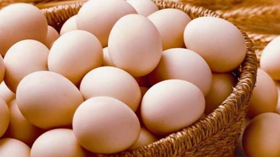 Sofralık Yumurta İhracatında Yeni Düzenleme: TSK ve İnsani Yardım Amaçlı İhracata Muafiyet
