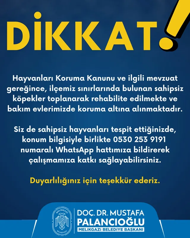 Kayseri Melikgazi Belediyesi Sahipsiz Hayvanlara Destek Veriyor