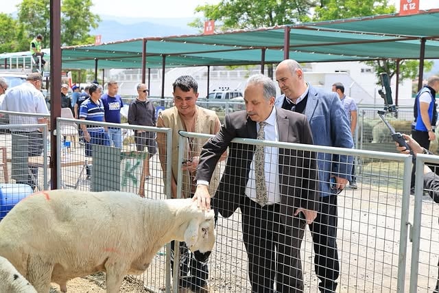 Talas Belediyesi Kurban Satış Alanında Besicilerle Buluştu