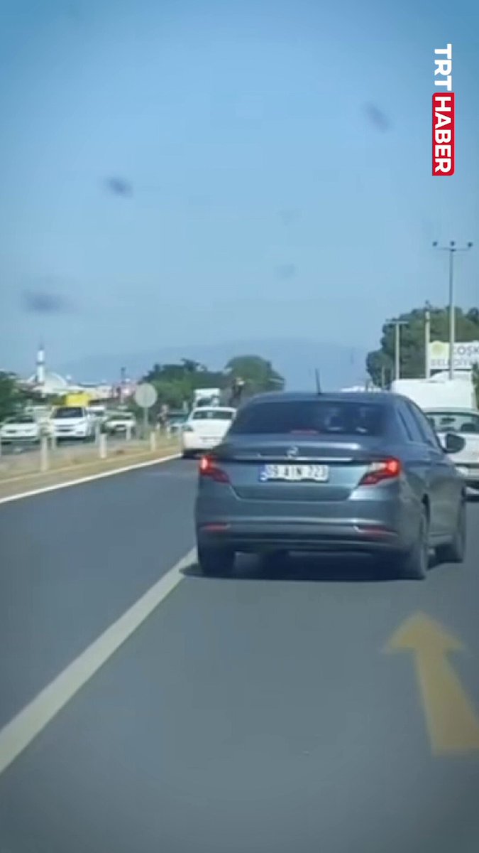Aydın'da Deve Kazası: Trafik Bir Anda Durdu