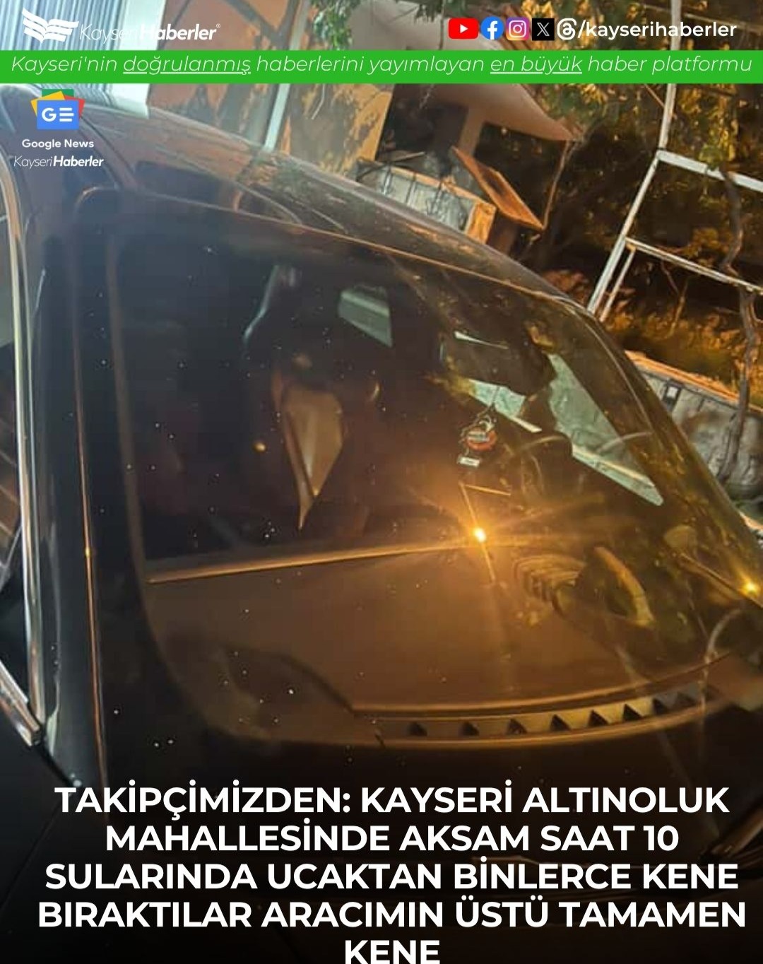 Kayseri'de Araçlar Kenelerle Doldu: Vatandaşlar Çaresiz