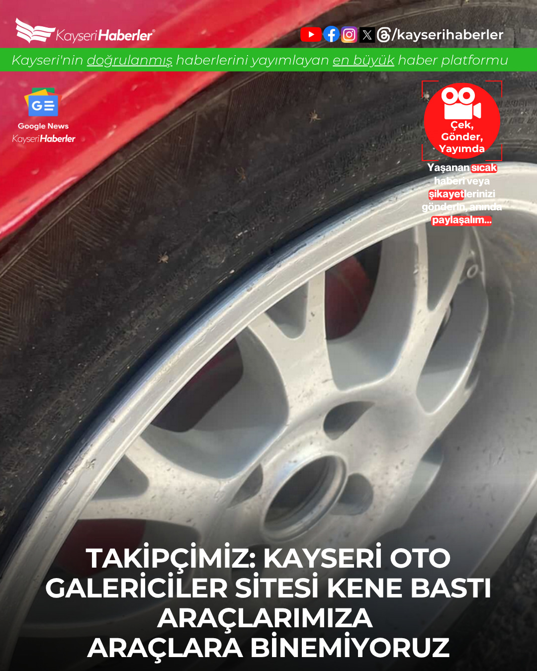 Kayseri Oto Galericiler Sitesi'nde Keneler Araçları İşgal Etti