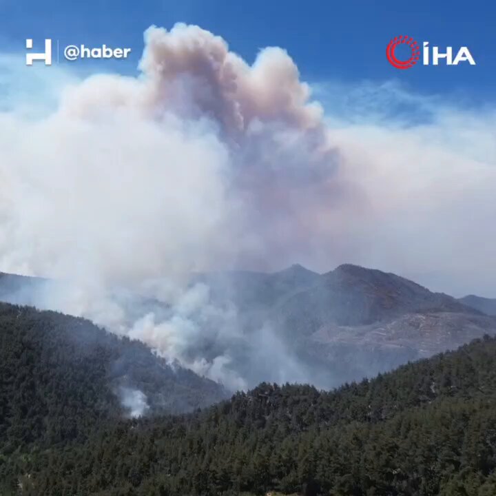 Sakarya ve Bilecik'te Orman Yangını Devam Ediyor: 700 Personel Seferber Edildi