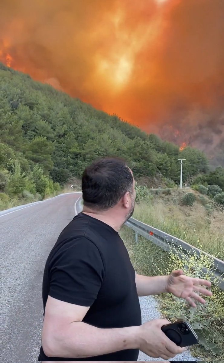 Ödemiş'te Orman Yangını: Belediye Başkanı Turan Durumu Görüntüledi