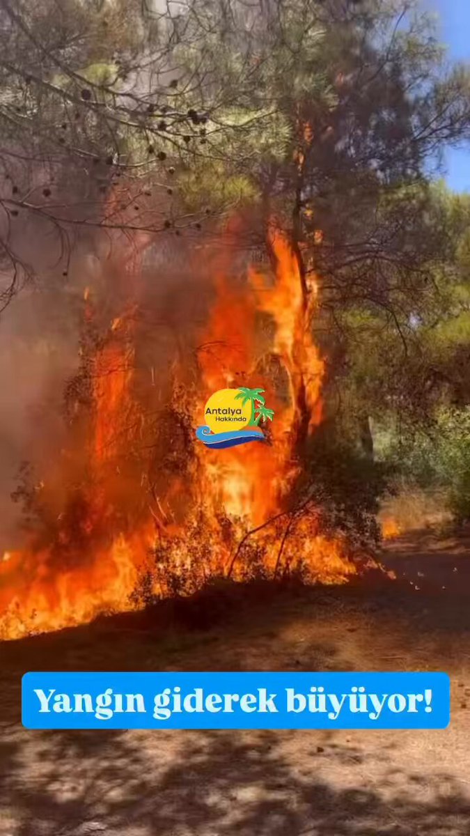 Antalya Güzeloba'da Yeniden Orman Yangını
