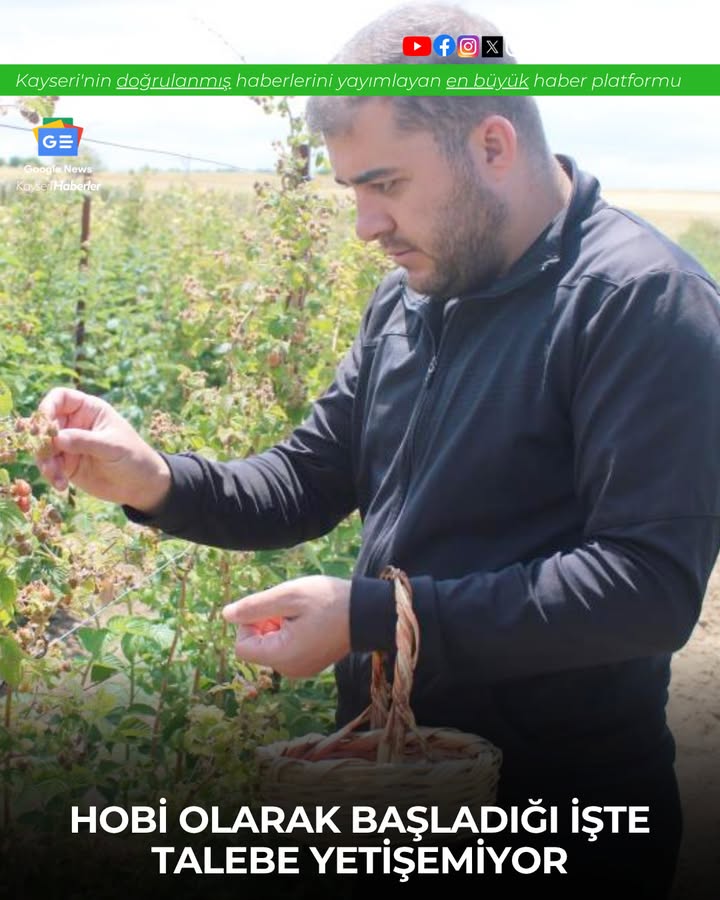 Kayseri'de Organik Ahududu Bahçesi Talebe Yetişemiyor