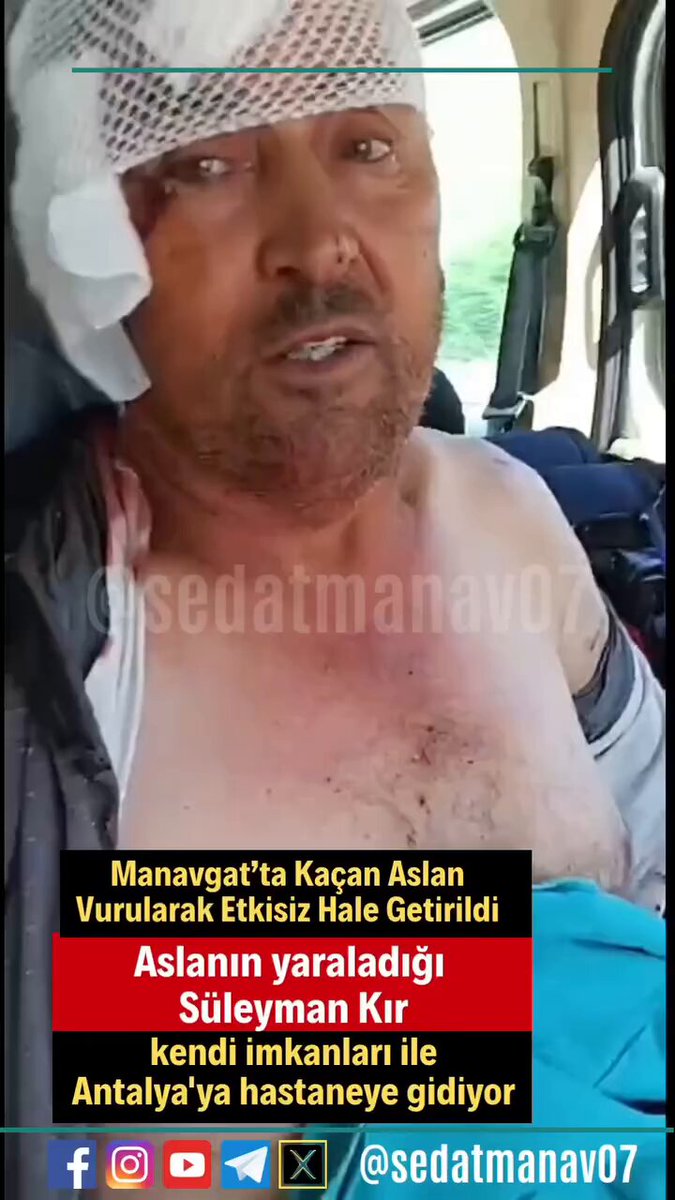 Manavgat'ta Aslan Saldırısı: Vatandaşın Yaşadığı Korku Anları Görüntülendi