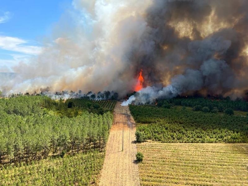 Fransa’nın güneybatısında orman yangını: 6 bin hektar alan kül oldu