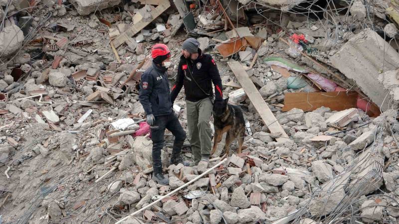 Malatya’da arama kurtarma köpekleri devrede
