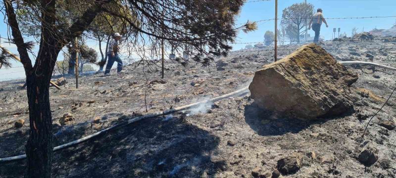 Ayvalık’ta kırsal alan yangınına bir helikopter ve iki yangın söndürme uçağı ile müdahale edildi